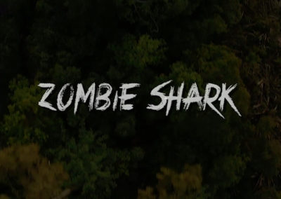 Zombie Shark Movie VFX Still